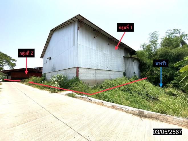 โรงสีหลุดจำนอง ธ.ธนาคารกสิกรไทย ชัยนาท สรรพยา โพนางดำตก